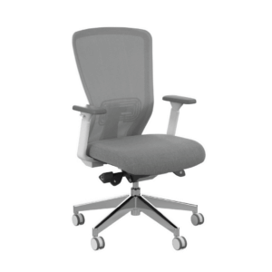 Workspace48 Compass task Chair; White/Grey White frame with grey fabric seat Seat depth adjustment Pneumatic height adjustment Adjustable arms Breathable mesh back Seat back tension adjustment Heavy duty castors 10 year warranty